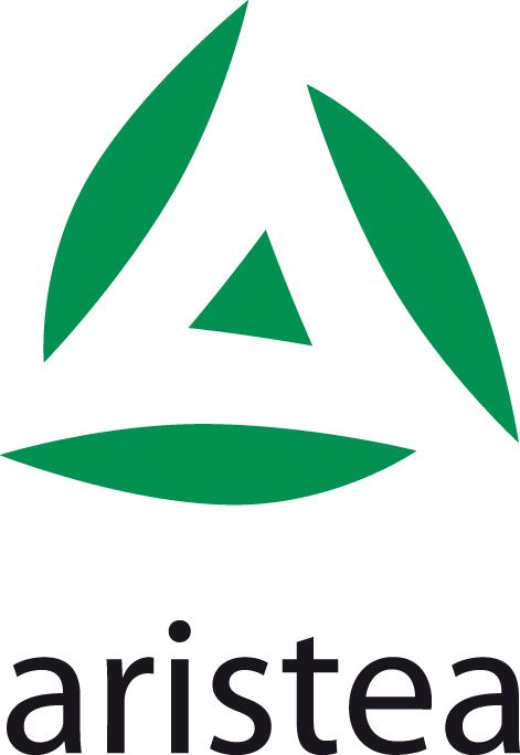 Logo - ARISTEA INTERNATIONAL